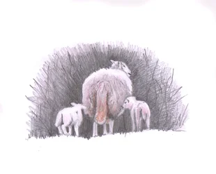 Follow, 2016, (blyantstegning)