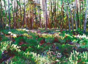 Sollys på Heather, 2011