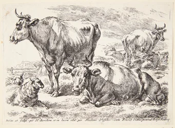 Portræt af et medlem af Out-familien. Cornelis Out (?)