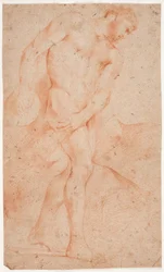 Mandlig modelstudie, stående