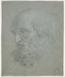 Skægget mandshoved (Apostlen Peter)