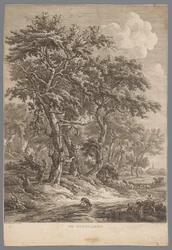 Landskab ved Zuidlaren I Zuidlaren (titel på objekt) Ni ansigter i Drenthe (serietitel) IX Ansigter i og nær Drenthes landskab (serietitel)