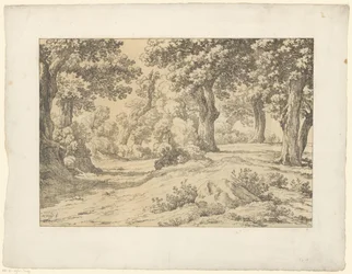 skov udsigt Tentamina Lithographica (serietitel) Italienske landskaber (serietitel)