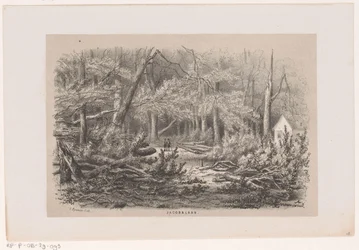 Træer blæst ned på Jacobalaan efter stormen den 28. maj 1860 Jacobalaan (titel på objekt) Album med ti litografiske skitser, forestillende Tooneelen af ​​ødelæggelsen, ophidset af stormen den 28. maj 1860 i 