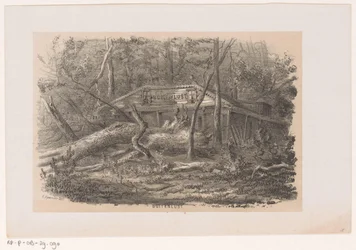 Træ blæst ned ved Buitenlust efter stormen den 28. maj 1860 Buitenlust (titel på objekt) Album med ti litografiske skitser, forestillende Tooneelen af ​​ødelæggelsen, ophidset af stormen den 28. maj 1860 i 