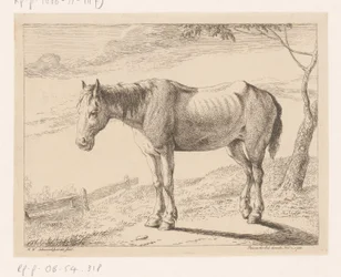 Hest Forskellige dyr (serietitel)