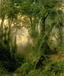 En jæger i den cubanske jungle, solopgang
