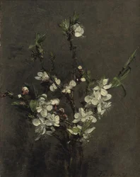 Frugttræets blomster