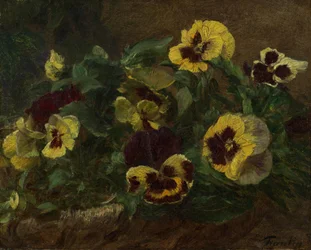 Stedmoderblomster, 1903.