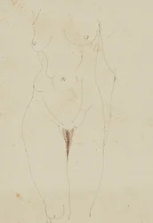 Kvindelig nøgen torso (pen og blæk på papir)