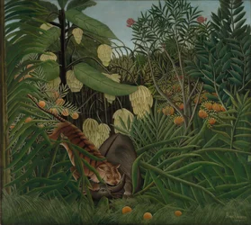 Kamp mellem en tiger og en bøffel, 1908