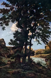 Egetræer i Chateaurenard, Frankrig, 1926.
