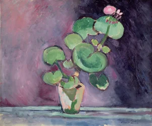 Geranium i en potte (olie på lærred)