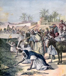 Græshoppeplagen, Algeriet, 1891