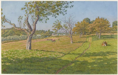 Marker ved Auffay