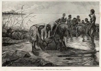 En flodhesteslagterbutik på bredden af en centralafrikansk flod. Gravering af Henri Thiriat for at illustrere historien "" La mission Crampel"", af Albert Nebout (1862-1939), i 1890, i Le tour du Monde 1892, instrueret af Edouard Charton (1807-1891), Hache