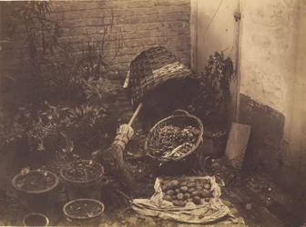 [Stilleben med halmkurve, kost, åbnet kartoffelsæk og potteplanter].