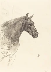 Gammel Hest