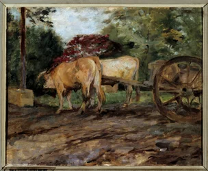 Okserne under åget Maleri af Henri de Toulouse Lautrec (1864-1901) Bordeaux fra det 19. århundrede, Musee des Beaux Arts