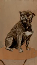 Touc, siddende på et bord