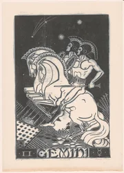 Stjernetegn Tvillingerne Gemini (titel på objekt)