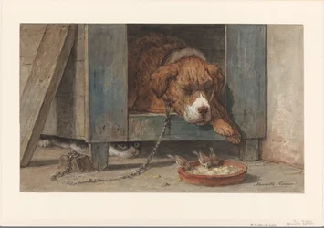Kat, der spionerer på fugle ved en sovende hund