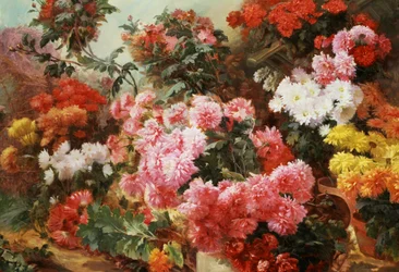 Flerfarvede krysantemum. Maleri af Henri-Arthur (Henri Arthur) Bonnefoy (1839-1917) Privat samling.
