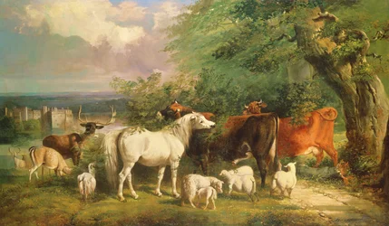 Haddon Hall med får, kvæg, en kronhjort og en pony