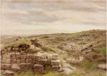 Husstande (kropsfarve)