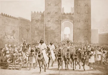 Cyrus