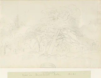 Beaudesert Park: blyantstegning, nd [1788-1855]
