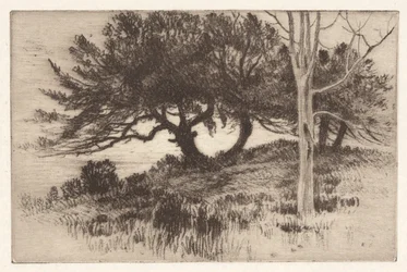 Nær havet