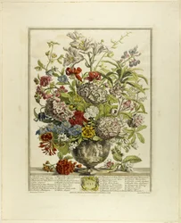Juli, fra Tolv måneders blomster