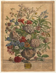 Tolv måneders blomster: juli
