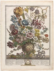Tolv måneders blomster: marts