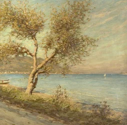 Mulbærtræet