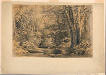 Tegning, En bæk i skoven, 1854