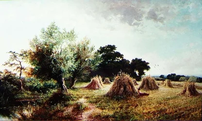 Middagshvilen