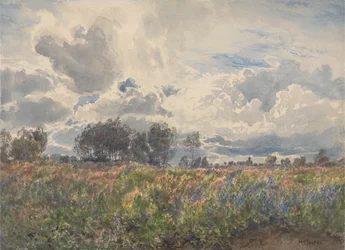 Byger juni, Picardie