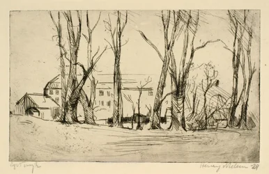 Hospitalslignende bygning set mellem store træer