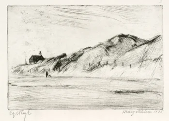 Klitlandskab med hus og person