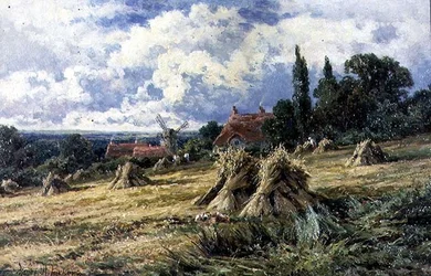 En kornmark i Surrey