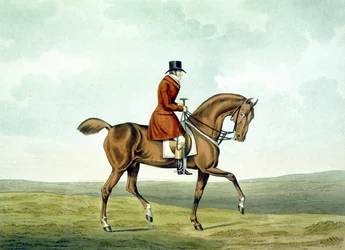 A Meltonian, As He Was, fra 