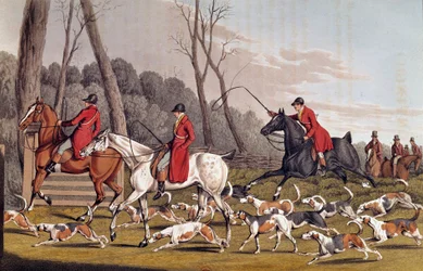Jagt: "" Rævejagten"" Engelsk litografi af Henri Alken (1774-1850) 1800-tallets Paris, B.N.