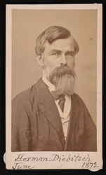 Portræt af Herman Henry Diebitsch 1818-1883, 1871.