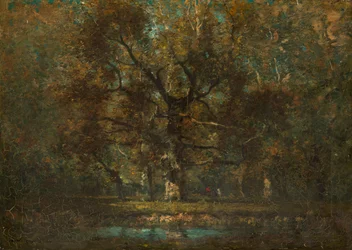 Egetræ, 1895.