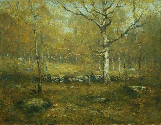 Spring Woods, ca. 1895-1900.