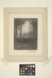 In The Adirondacks (blæk)