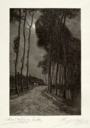 Måneskin i Holland