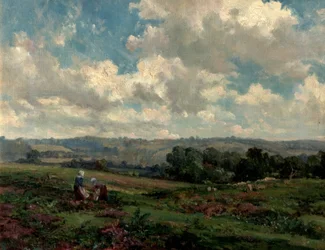 Fields i Surrey, 1890